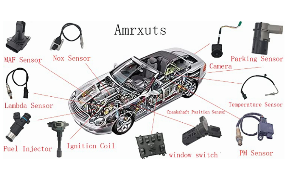Amrxuts