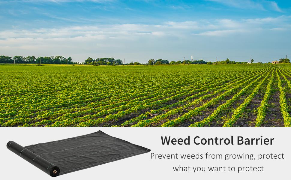 Outsunny Weed Barrier Fabric Durable Convenient Design Weed Block Mat 1m X 50m -Indoor Flower Pot AAHKMJXYDAFdJAOAIMEbOAchlkWZ0oakZn uVZ0mPidMNbILvCvspZ4oG3fPgIqc1P26RdPiG8KHKUtblW5 ULKvLD1OHzwX jolGWPZGyLZfIzTWfg1oGA3i4XnSMZ3gCEcGE4OCp6jv46mD9fKDdnVrGO9Uo0V4bp8AtWeI 6YY7vVS7W3WGoNBROVQpiRA DpzJojpA 4BRXLB8MkEnCF