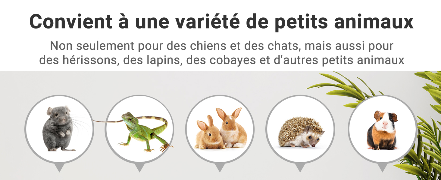 Parc lapin