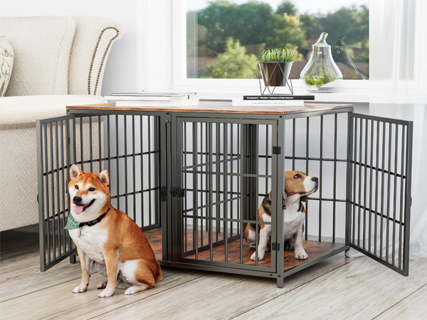 Bingopaw Gabbia per Cani interno
