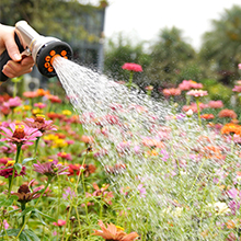 Pistolet d'arrosage pour arroser vos plantes