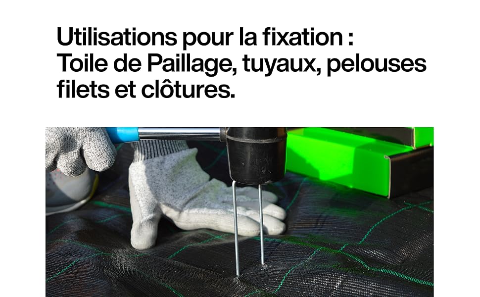 fixation