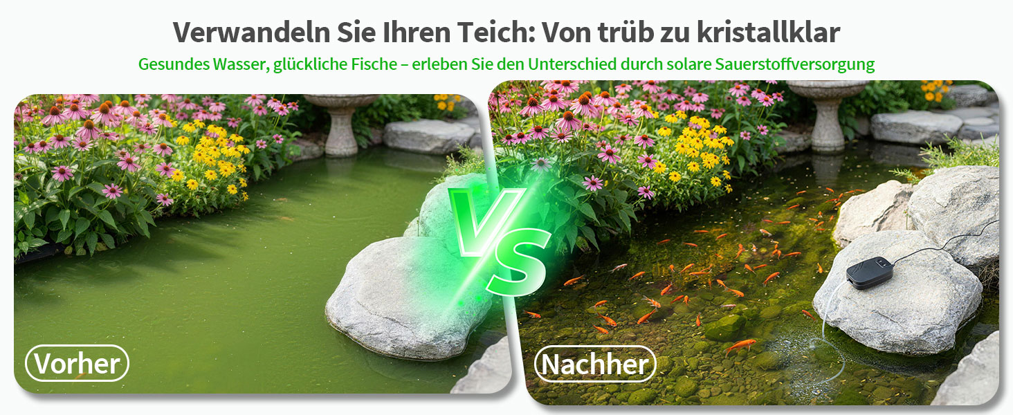 Vorher Nachher Teichbelüftung