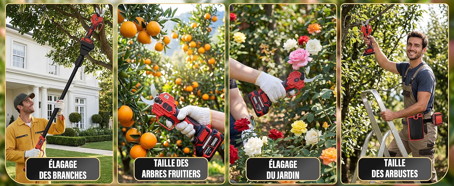 Séquence de quatre panneaux montrant des activités de jardinage avec des textes superposés, notamment « RÉUTILISER ET RECYCLER », « PLANTER PLUS D'ARBRES » et d'autres phrases d'action environnementale.