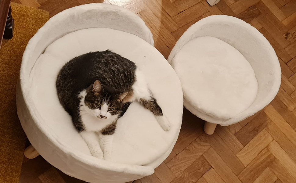 BingoPaw Divanetto per Cani e Gatti, Divanetti e Sedie per Cani Cuccia per Cani 
