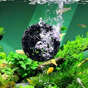 the latest aquarium fish tank aquarium fish tank aquarium fish tank aquarium fish tank aquarium fish tank