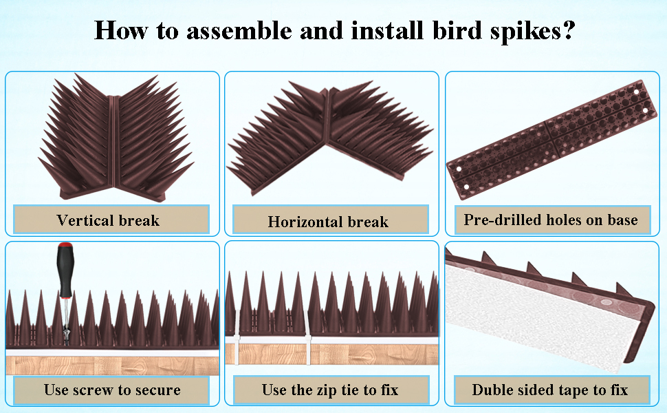 Bird Spikes