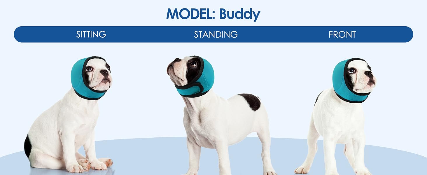 noise reduction for dogs