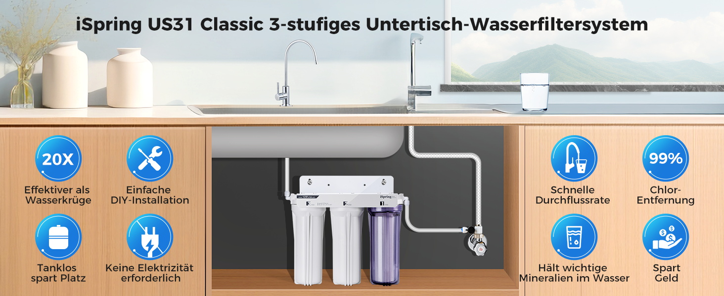 iSpring US31