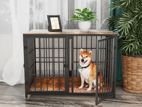 Bingopaw Gabbia per Cani interno
