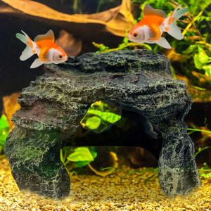 aquarium fish tank with a rock