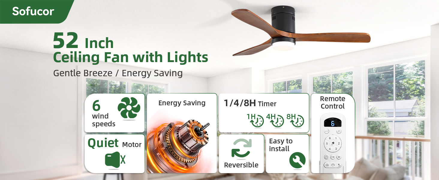 ceiling fan with light