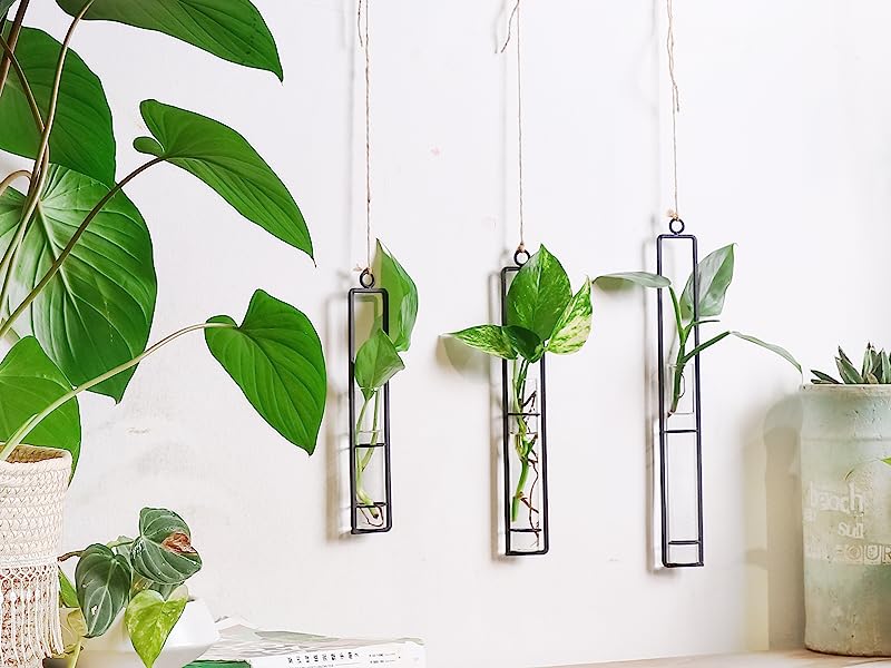 propagation station 