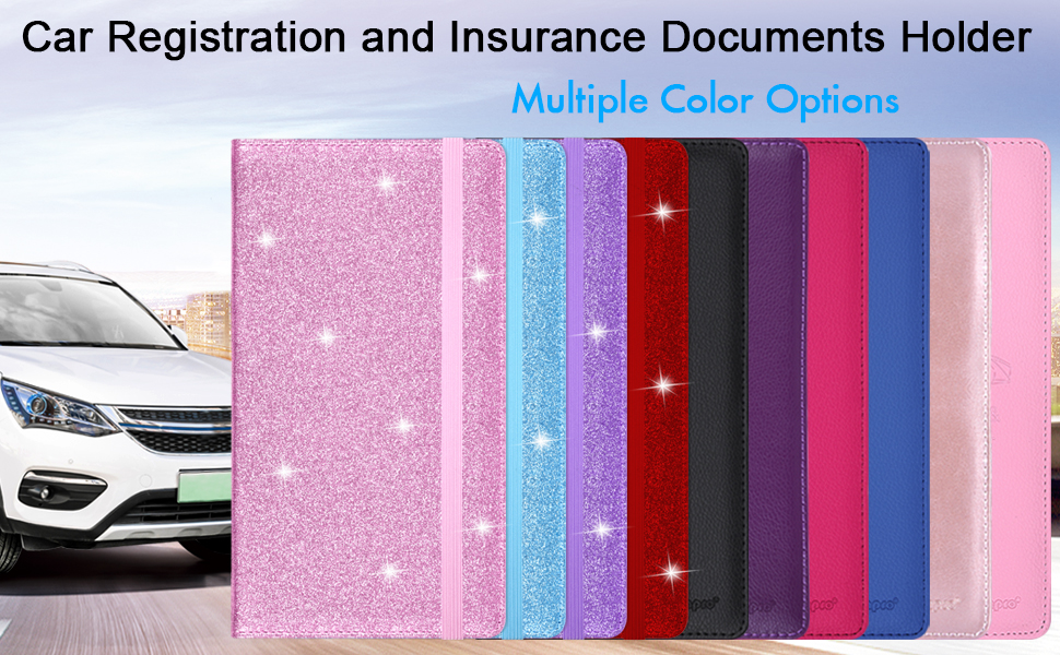 Car Document Holder