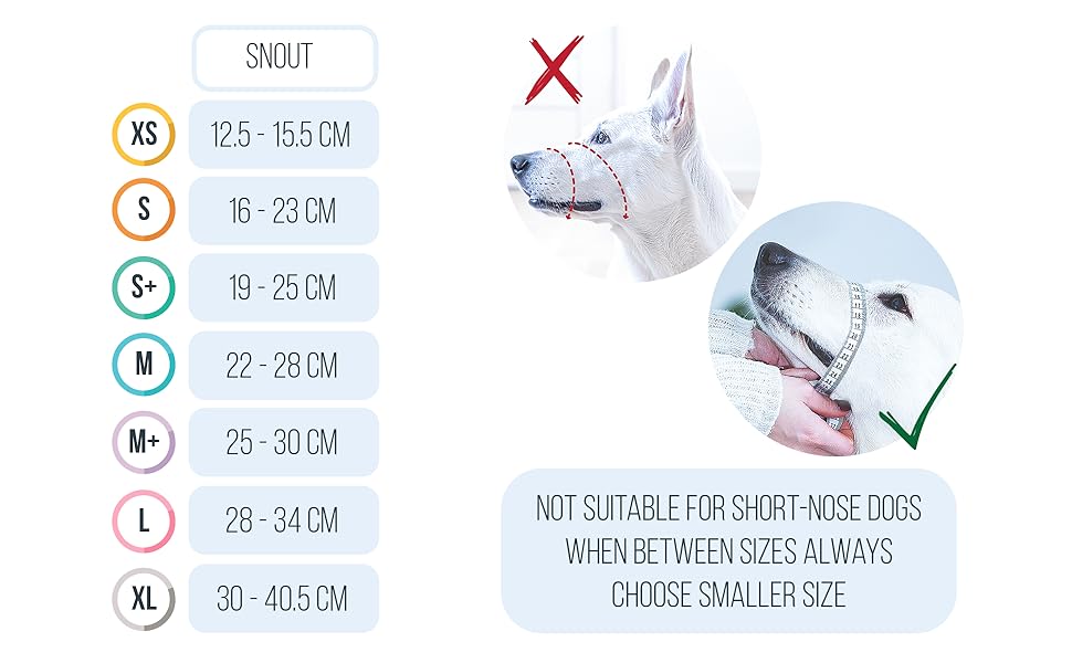 measures muzzle dog