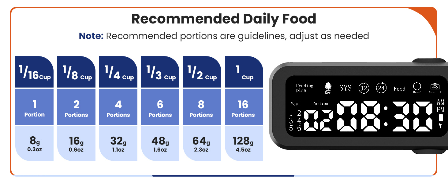 daily food