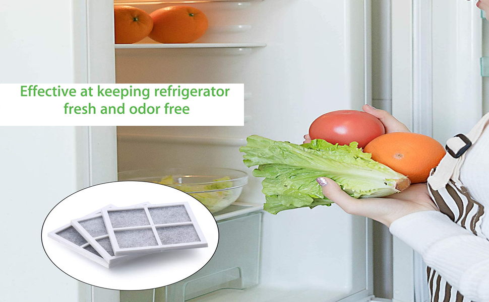 Refrigerator Filter