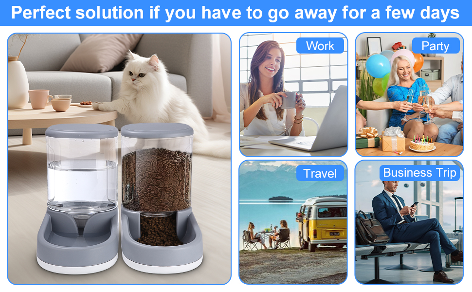 Comedero doble para mascotas con recipientes transparentes para comida y agua. Un gato blanco descansa en la parte superior. Las imágenes circundantes muestran diferentes escenarios de viaje.