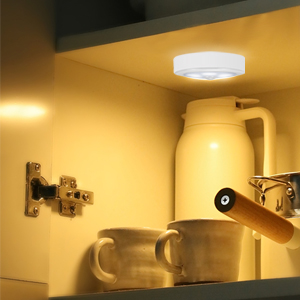 motion sensor light
