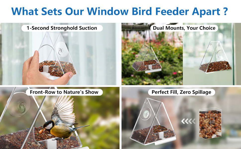 window bird feeders