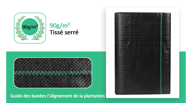 toile paillage