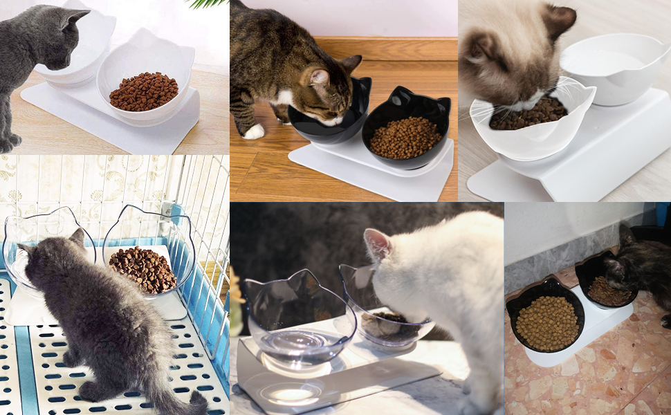 Gamelle Chat