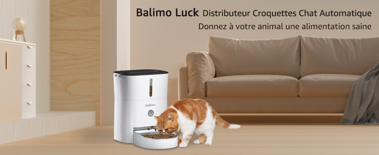  distributeur croquettes chat automatique