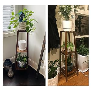 support plantes
