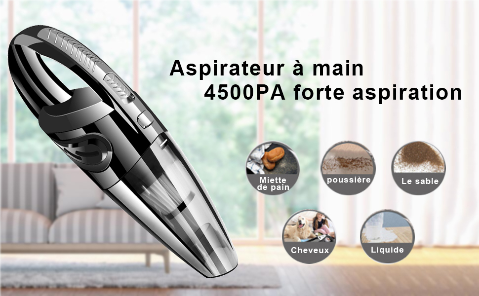 Aspirateur à main