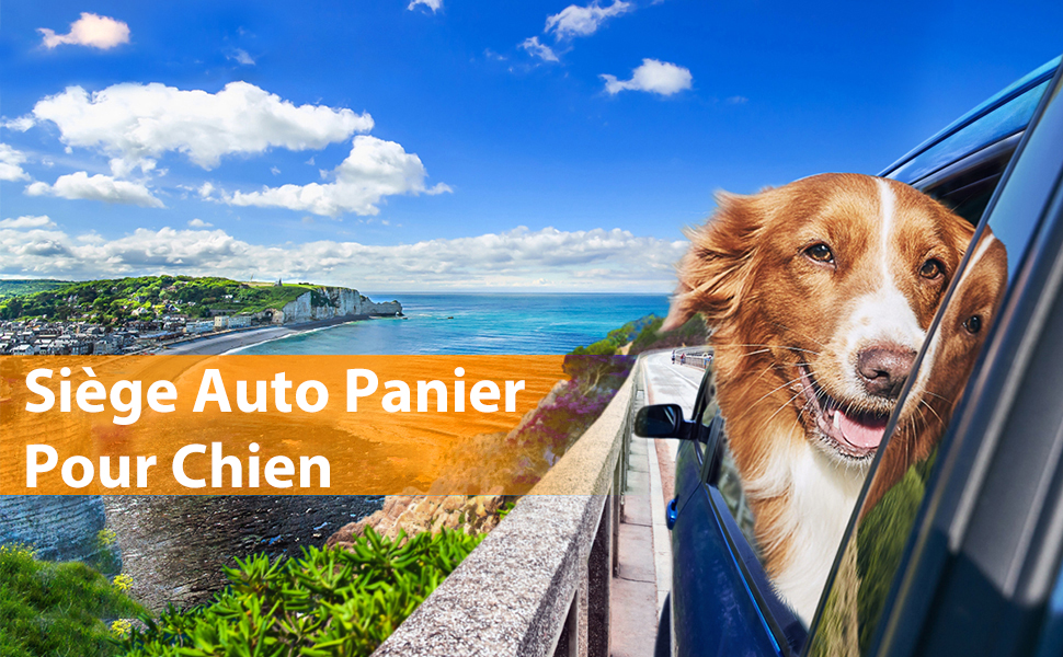 chien voiture siege auto panier transport sac chat rehausseur coussin petit grand 