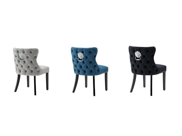 chaises salle manger lot de 2