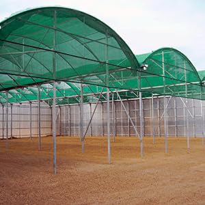 Grandes estructuras de invernadero con techos verdes arqueados y marcos de metal. Varias unidades conectadas en suelo arenoso y seco