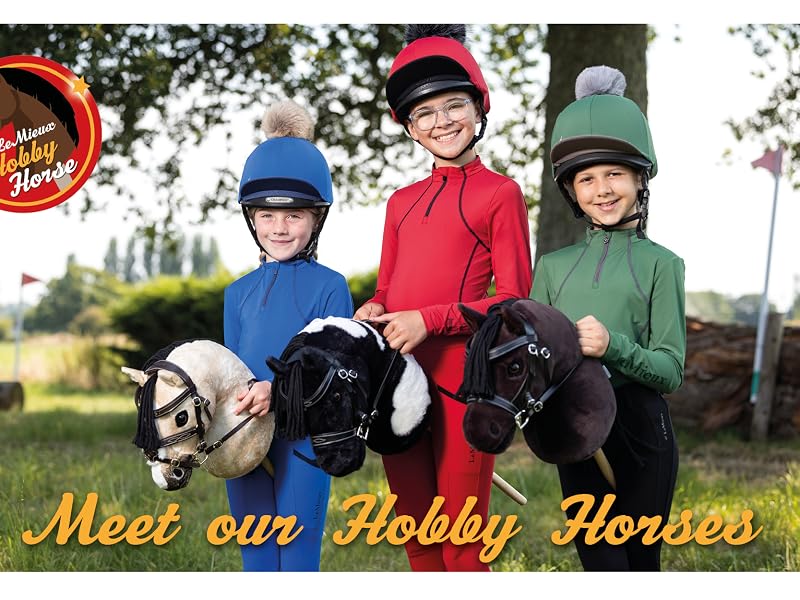 Promotional image showing three ponies in an outdoor setting with 'Meet our Hobby Horses' text overlay.