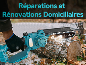 Seesii Mini tronçonneuse 2 en 1 de 8 pouces avec télescope