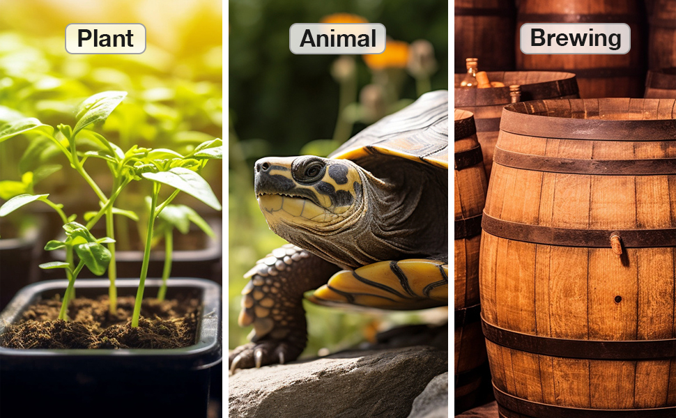les différents types de plantes