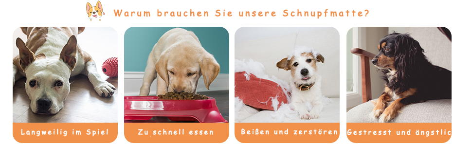 Schnüffelball für Hunde