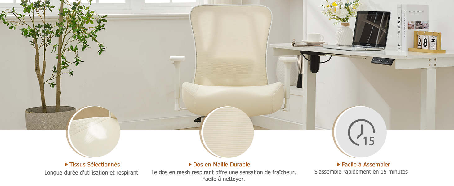 Chaise Bureau Ergonomique 2