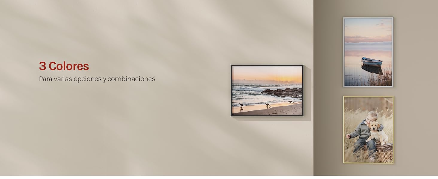 El texto dice «3 colores». Expositor mural de galería que muestra varias fotografías enmarcadas en tonos neutros, dispuestas en forma de cuadrícula contra una pared de color beige.