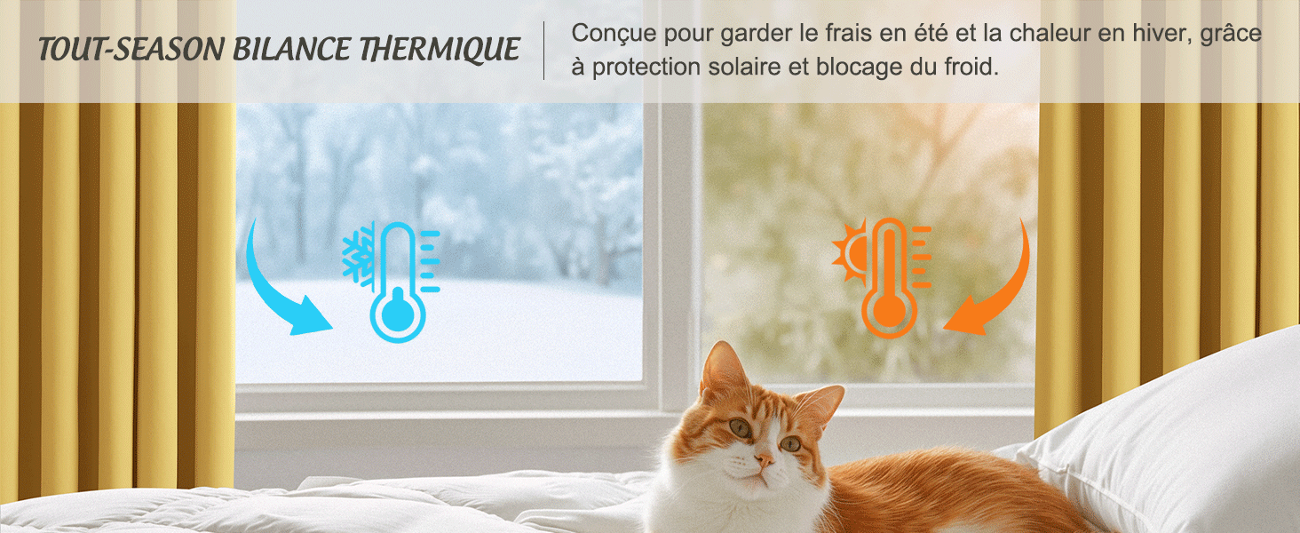 Le texte se lit comme suit : « RIDEAUX BALANCE THERMIQUE » en français.
[SENTENCE 13] Photo intérieure montrant une fenêtre avec des rideaux et un chat se reposant près du rebord de la fenêtre.