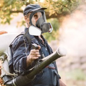 Reusable full face respirator