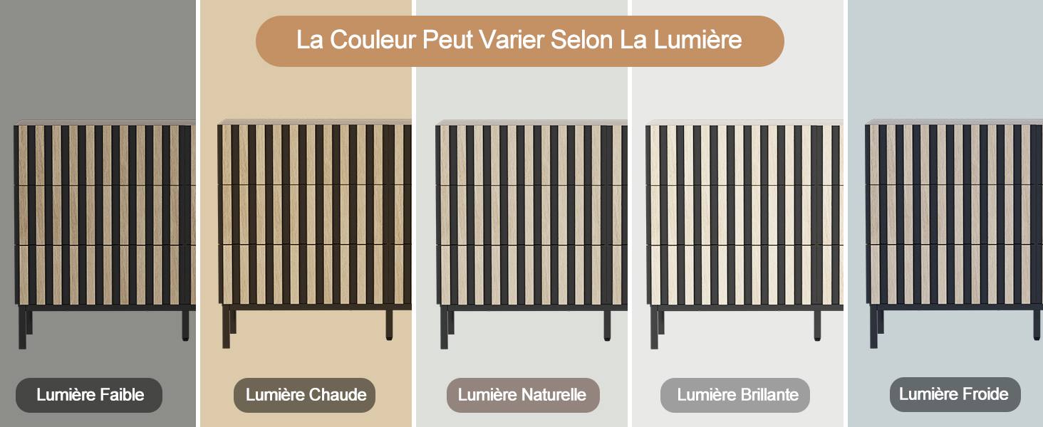 Le texte se lit comme suit : « La Couleur Parfaite Pour Votre Salon La Lumière ». Cinq bandes verticales d'échantillons de couleurs de peinture montrant différents tons neutres et chauds étiquetés : Lumière, Naturel Chaleur et d'autres variations de couleurs.