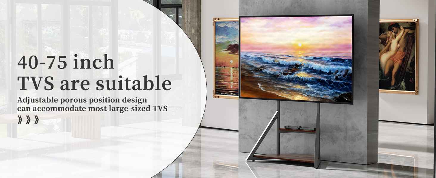 Soporte de TV