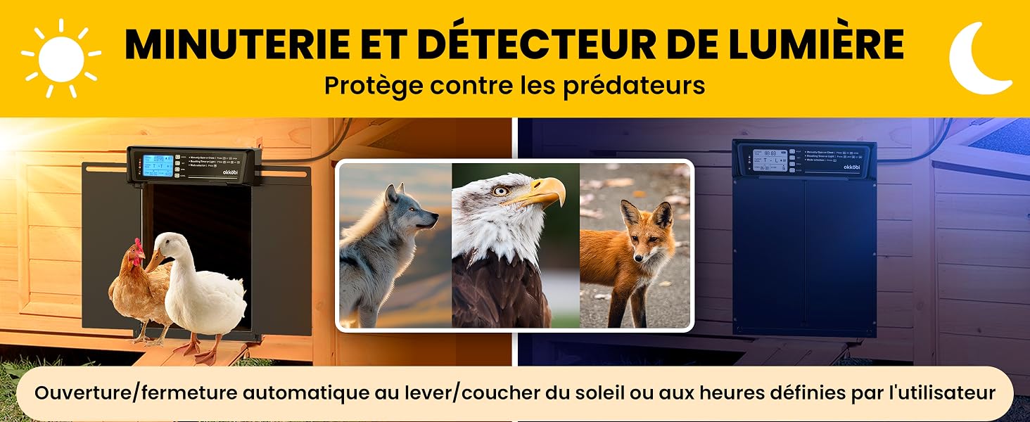 Le texte se lit comme suit : « MINUTERIE ET DÉTECTEUR DE LUMIÈRE ». Série de scènes intérieures montrant l'automatisation de l'éclairage dans différents scénarios avec des icônes jour/nuit.