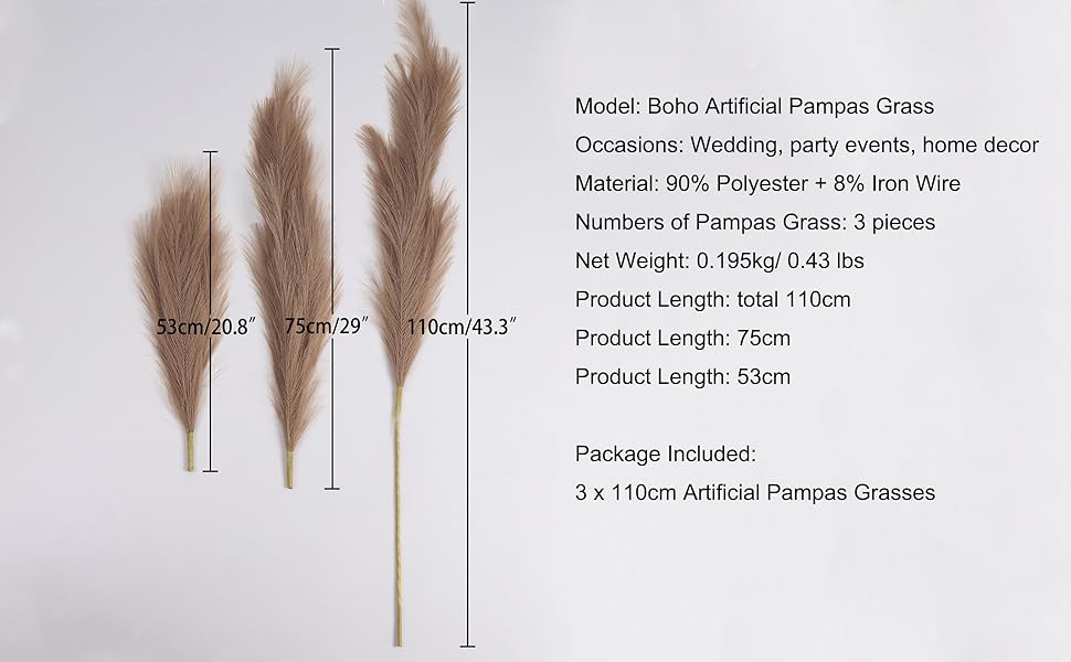 soffice decorazione erba pampa