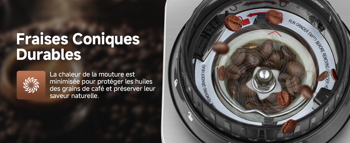 avec bavures coniques visibles à travers un couvercle transparent. Les grains de café entiers sont dispersés à l'intérieur de la chambre de broyage et sur le bord extérieur.