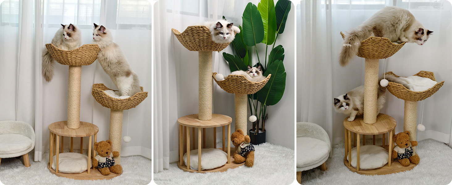 tiragraffi per gatti tiragraffi per gatti adulti albero tiragraffi per gatti tiragraffi gatto