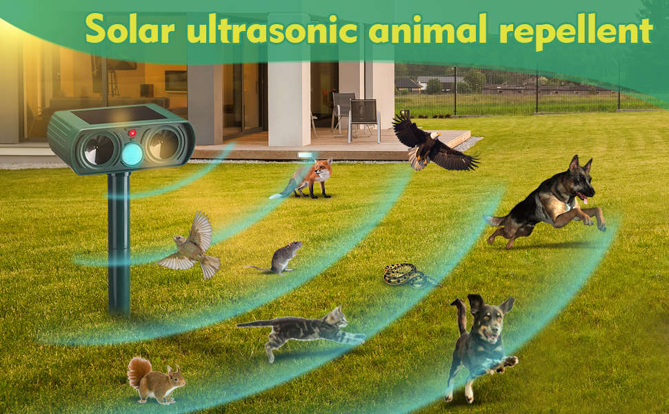 Répulsif à ultrasons pour chat - Répulsif solaire à ultrasons - Répulsif pour animaux