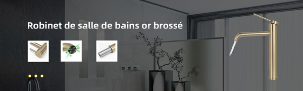 Robinet Salle de Bain Haut