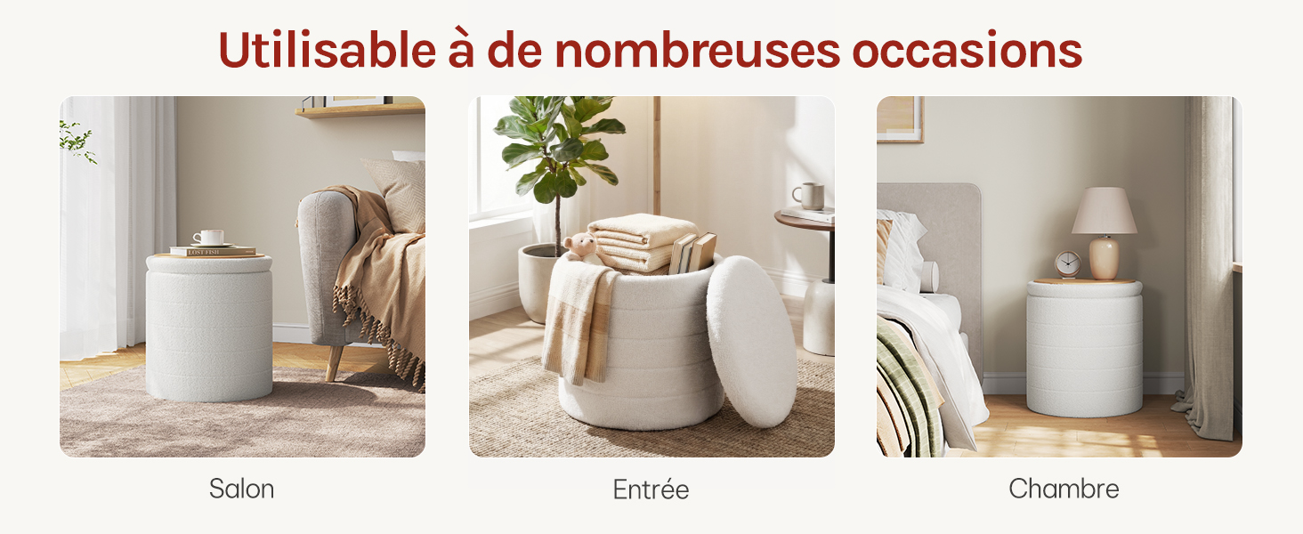 Le texte indique « Utilisable à de nombreuses occasions » avec trois configurations de chambre ci-dessous, étiquetées « Salon », « Entrée » et « Chambres ». Diffuseur cylindrique blanc présenté dans des scènes de décoration intérieure avec des plantes et des meubles.