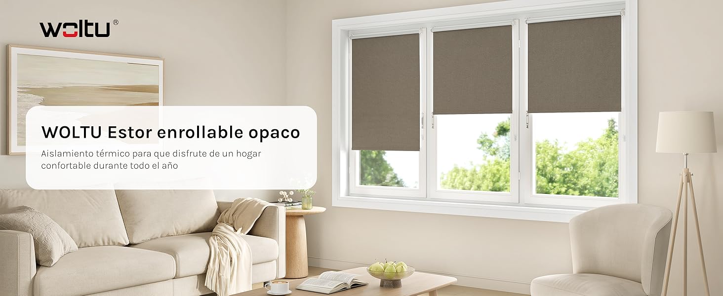 El texto dice:
[SENTENCE 17] «Imagen 2» y «WOYU Estor enrollable opaco».
[SENTENCE 18] Habitación interior que muestra una ventana con persianas enrollables grises instaladas, un sofá de color beige y paredes blancas.